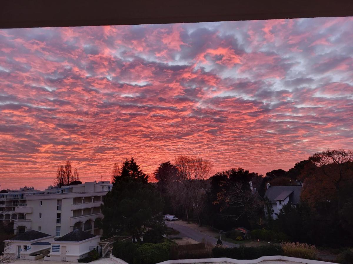 Superbe Avec Vue Panoramique Appartement
